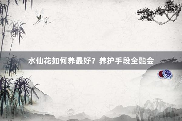 水仙花如何养最好？养护手段全融会