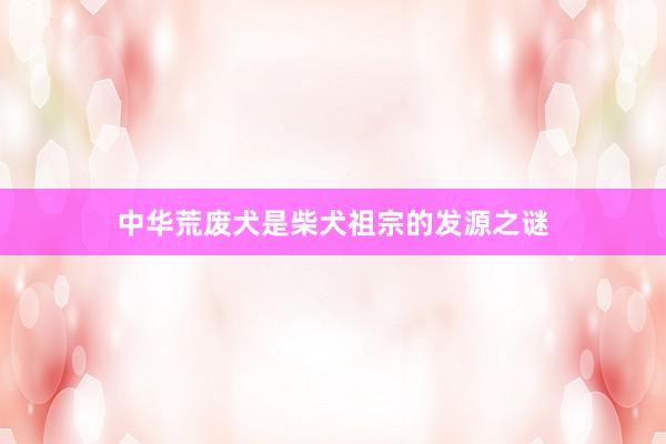 中华荒废犬是柴犬祖宗的发源之谜
